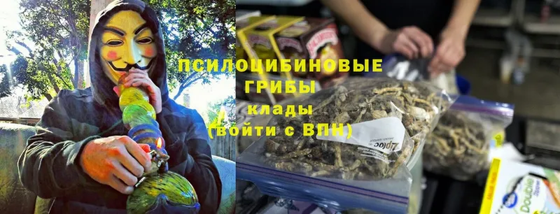 Псилоцибиновые грибы Magic Shrooms  закладка  Щёкино 